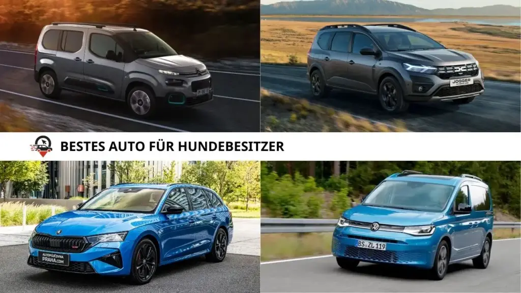 Bestes Auto für Hundebesitzer: Top 12 mit ADAC-Test (2026) - KFZPick.de