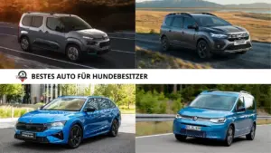 Bestes Auto für Hundebesitzer: Top 12 mit ADAC-Test (2026)